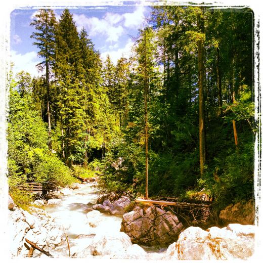 Zauberwald am Hintersee